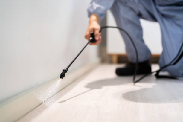 Licensed Termite Control service in Carrington, ND - Nex Pest Control