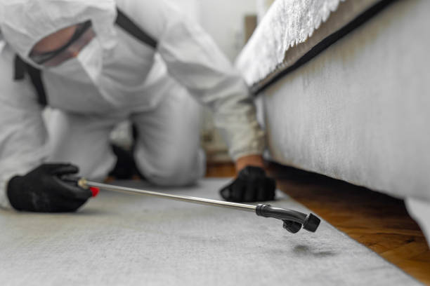 Professional Termite Control technician working in Carrington, ND