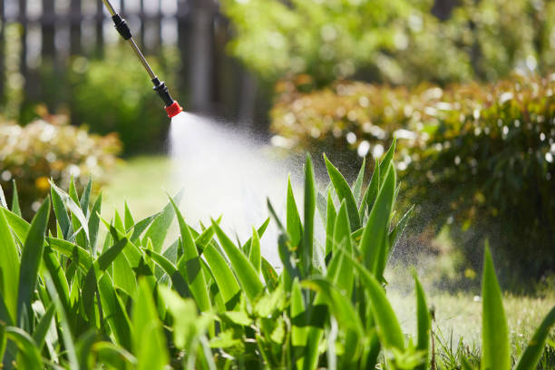 24/7 Emergency Termite Control experts in Carrington, ND