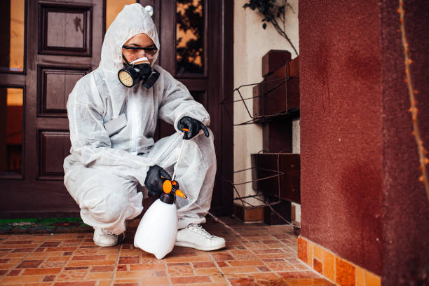 Reliable Termite Control contractor in Carrington, ND by Nex Pest Control