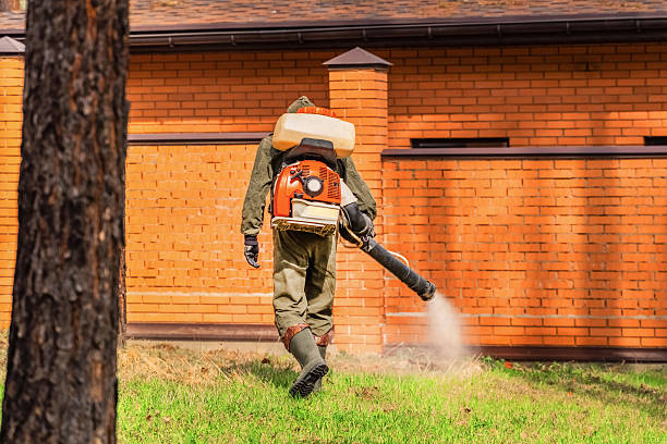 Top rated local Termite Control specialists in Carrington, ND